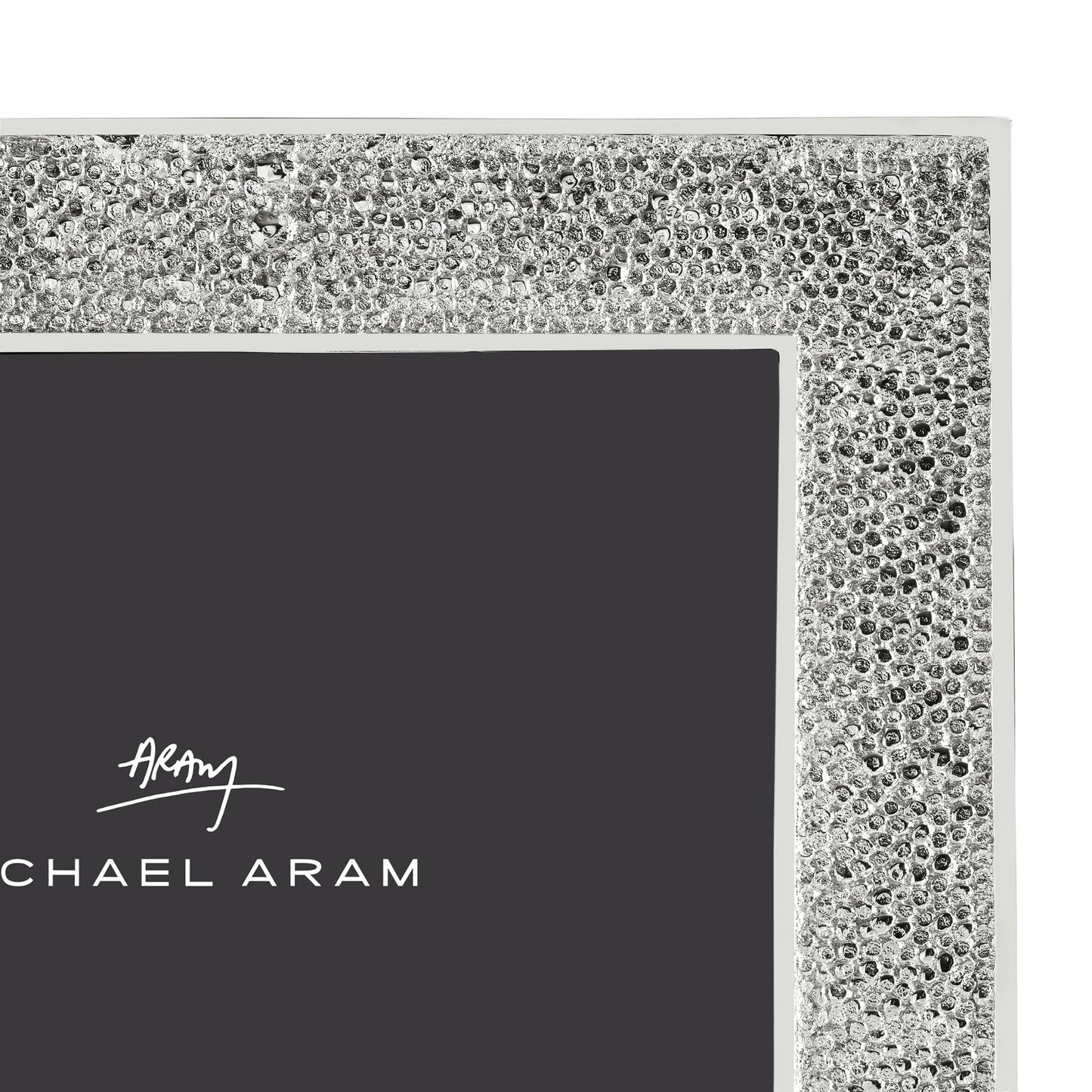 Shagreen Frame
