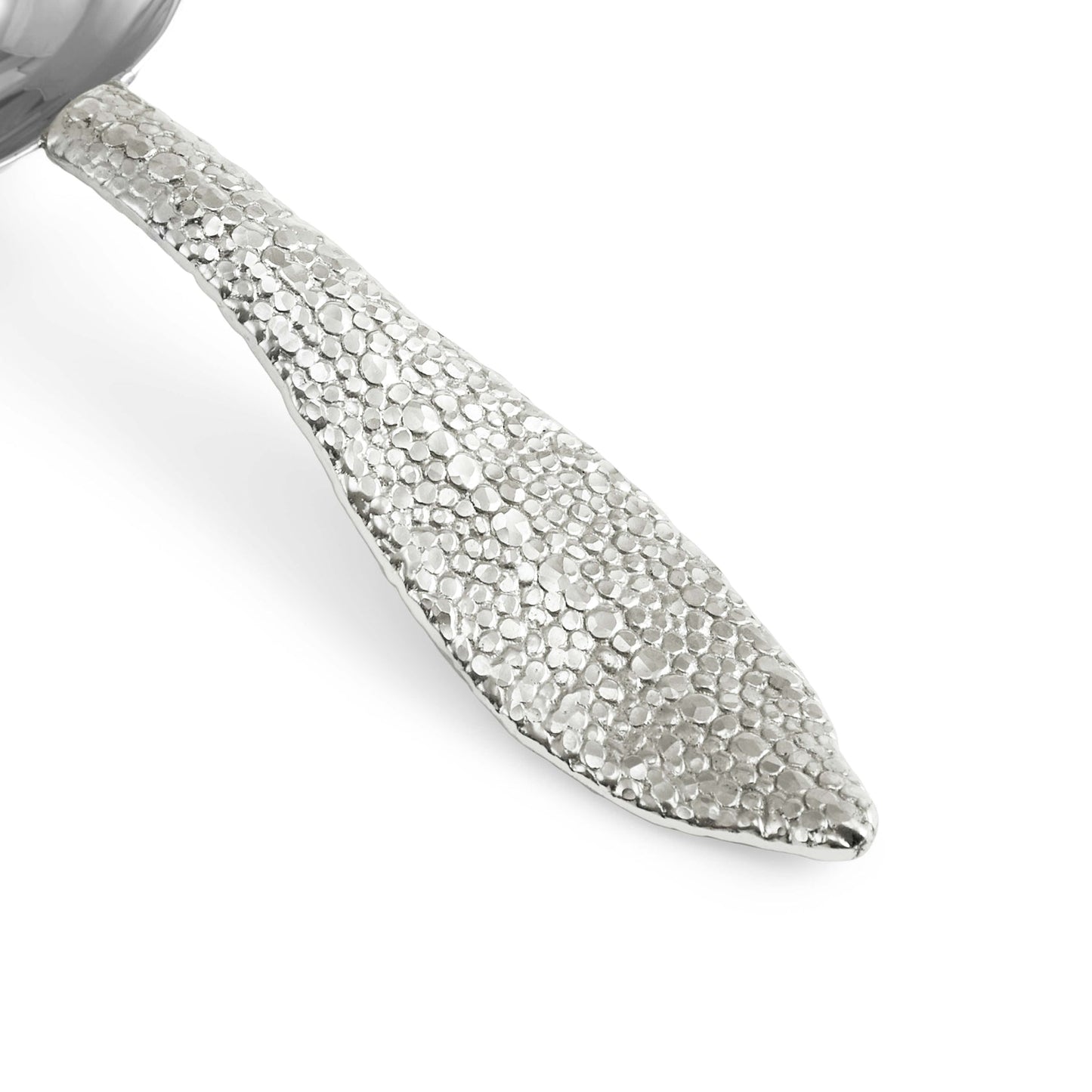 Shagreen Ice Scoop