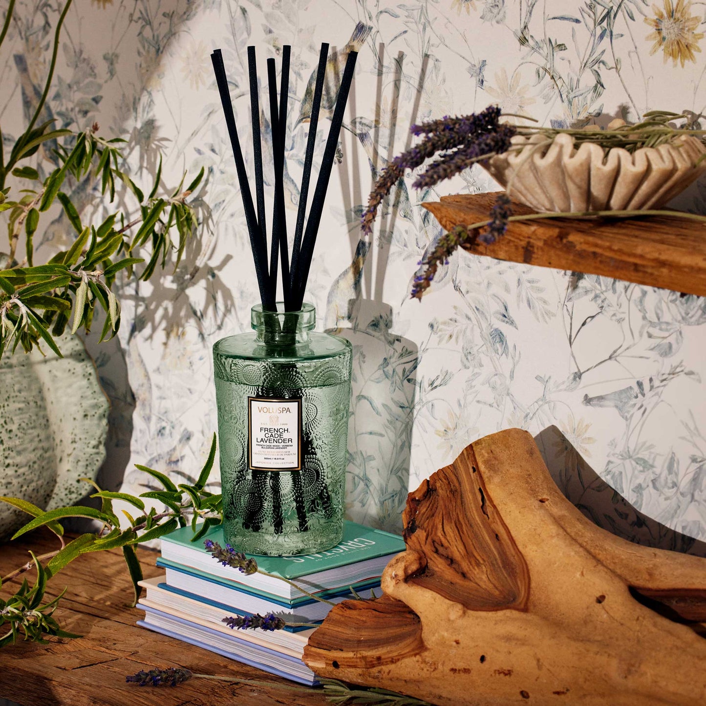 French Cade Lavender