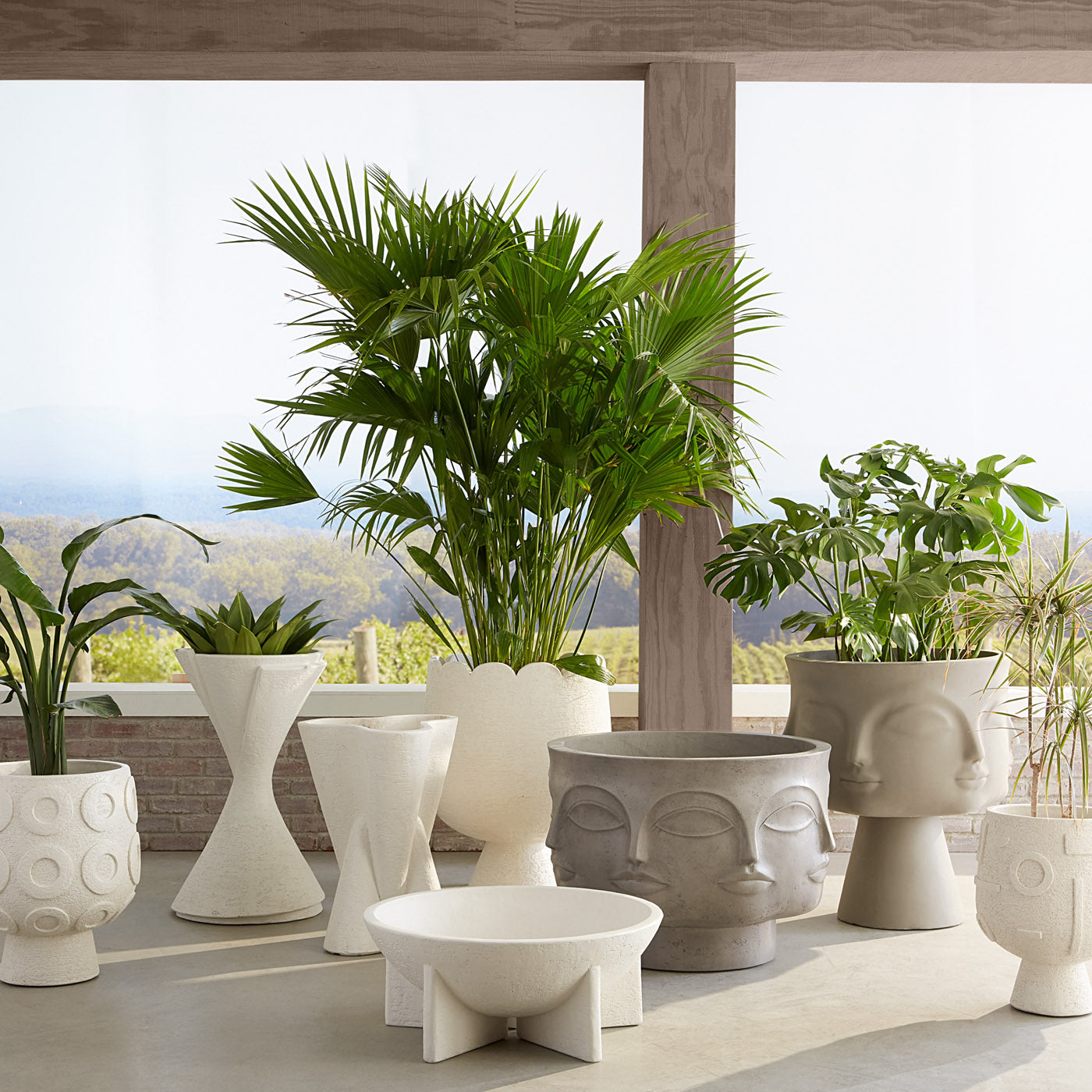 Dora Maar Low Planter