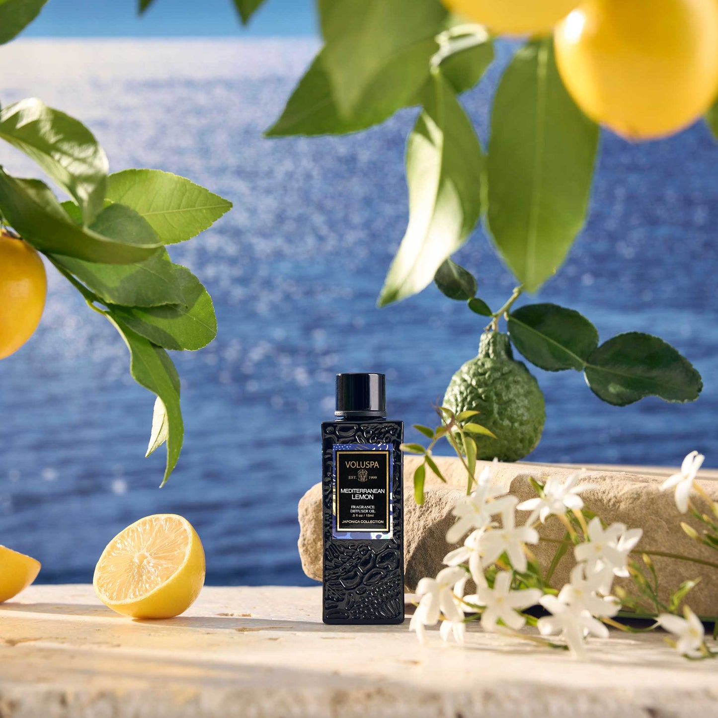 Mediterranean Lemon