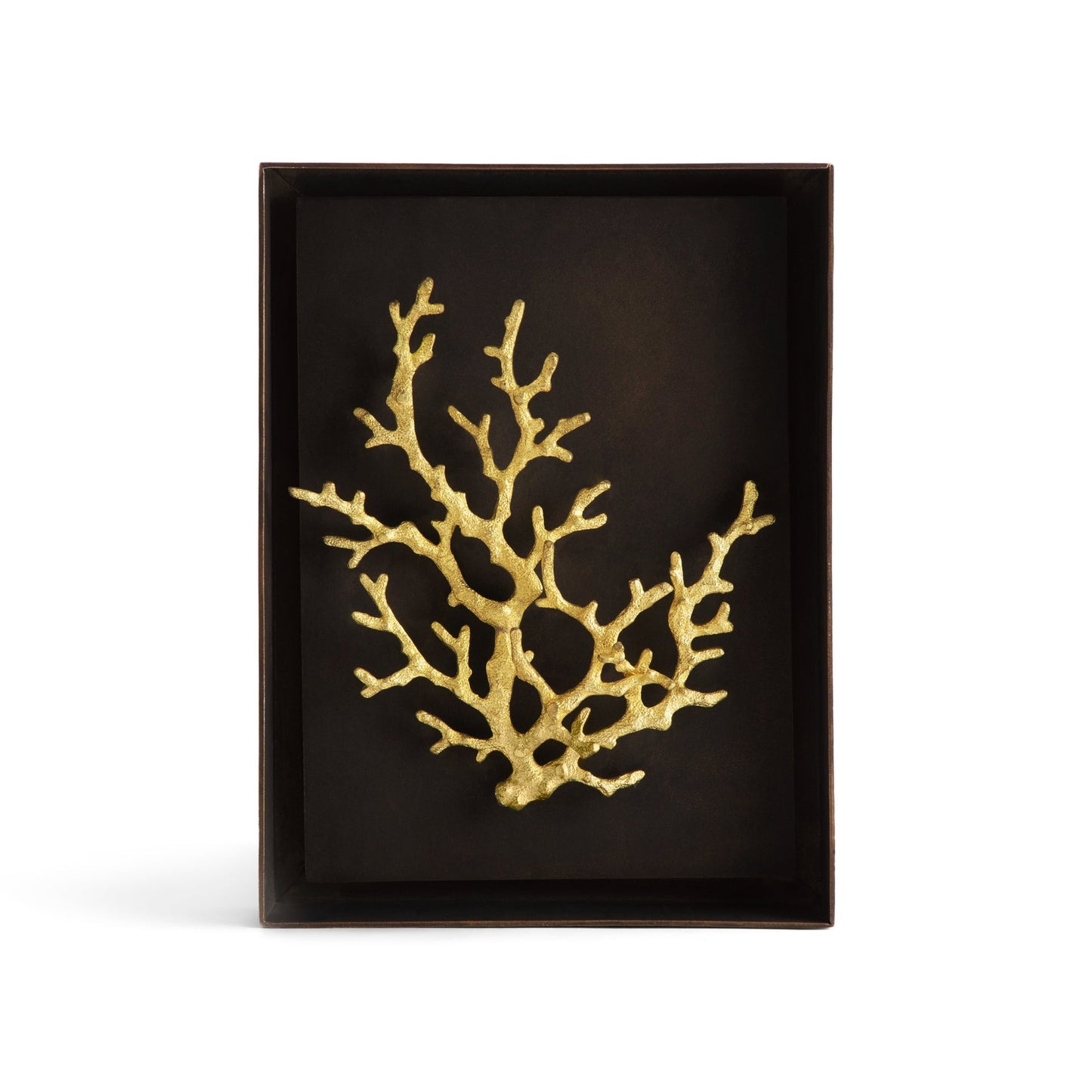 Ocean Coral Shadow Box