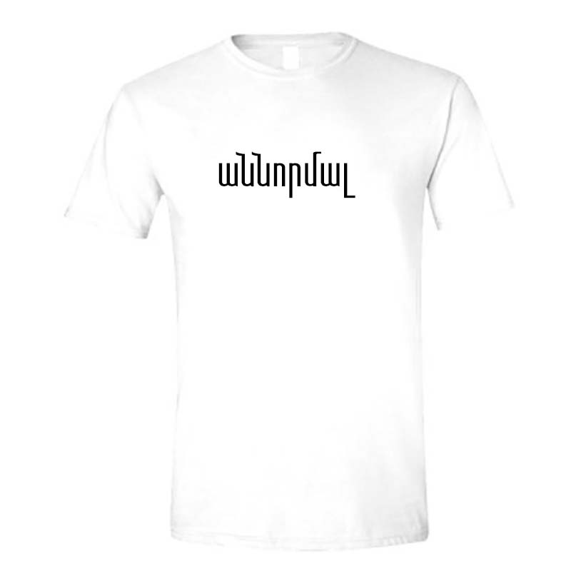 AhnNormal T-shirt